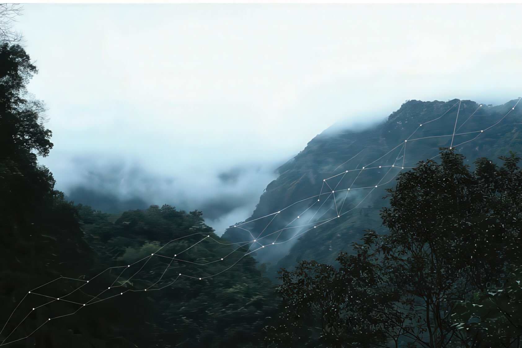 Forest landscape with overlaid network of nodes and connections — ecological world and analytical system superimposed.